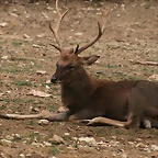 Zoo Lunaret + Sigean 18 i 19-09-10 357