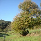 DSCN9987