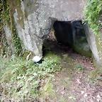 DSCN1364