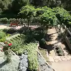plantas-jardines