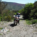 DSCF2525