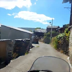 DSCN8767