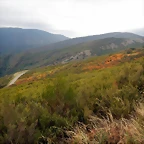 DSCN9915