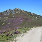 040-Imagen 042