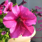 the_greatest_gift_is_love