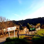 DSCN4166