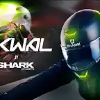 shark-skwal