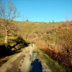 DSCN1733