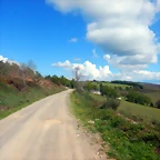 DSCN4907