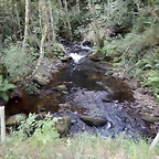 DSCN4379