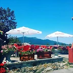 terraza chigre faedo
