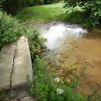 DSCN4395