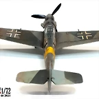 bf106g-6 (7)