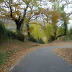 DSCN0818