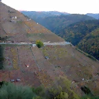 DSCN6561