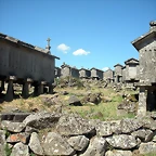 DSCN7871