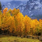 Fall in the High Country, Colorado