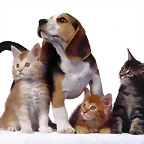 Family Portrait