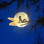 Fairytale Moon