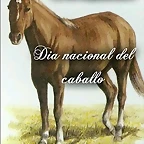 caballlo