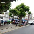 DSCN5462