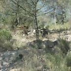 PICT0005