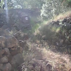 PICT0004