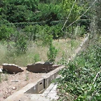 PICT0099