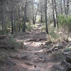 PICT0024