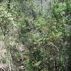 PICT0091