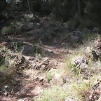 PICT0015