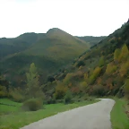 DSCN6020