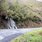 DSCN7150