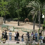 Zoo de Barcelona 23-04-11 127