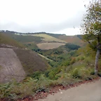 DSCN7153
