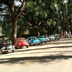 15965098_1375666559131103_1740979062000214104_n
