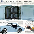 Triumph TR3 - View