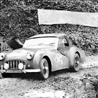 Triumph TR3 Rally '55