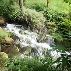 DSCN4544