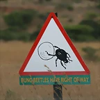 Ithala Game Reserve 1-05-09 363