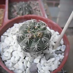 SAM_1368