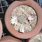 SAM_1375