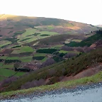 DSCN1217