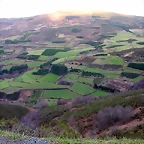DSCN1218