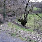 DSCN1215
