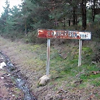DSCN1224