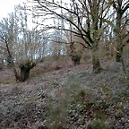 DSCN1216