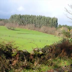 DSCN7687