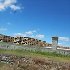 DSCN3776