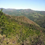 DSCF2491